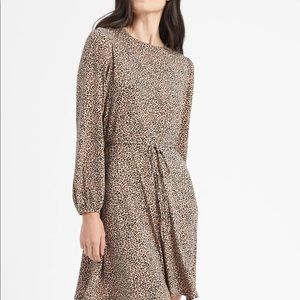 Banana Republic Cheetah Print Dress